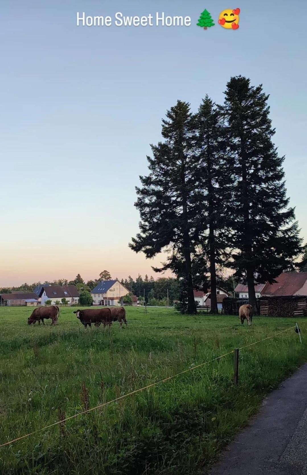 Chickenhill Blackforest, Grosse Ferienwohnung Im Schwarzwald Бад-Вильдбад Экстерьер фото