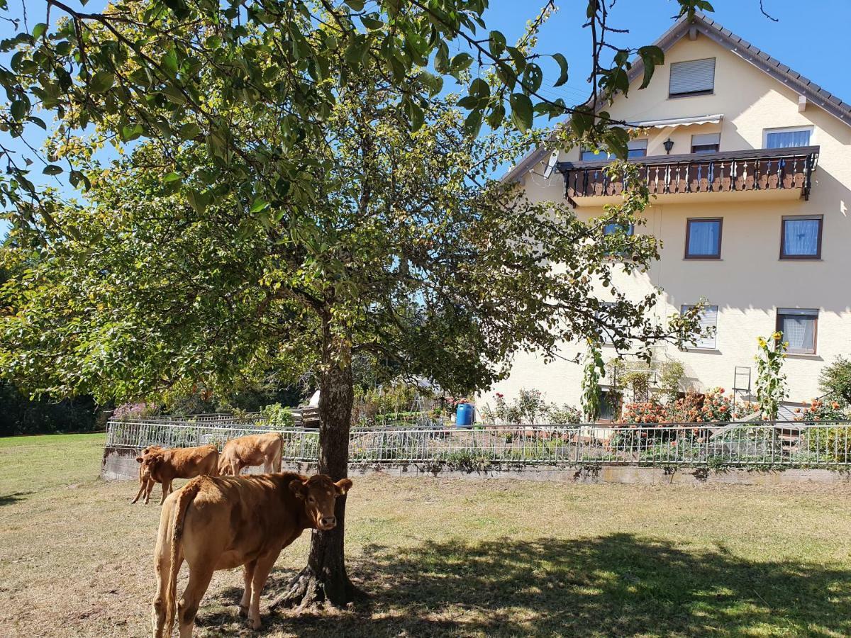 Chickenhill Blackforest, Grosse Ferienwohnung Im Schwarzwald Бад-Вильдбад Экстерьер фото